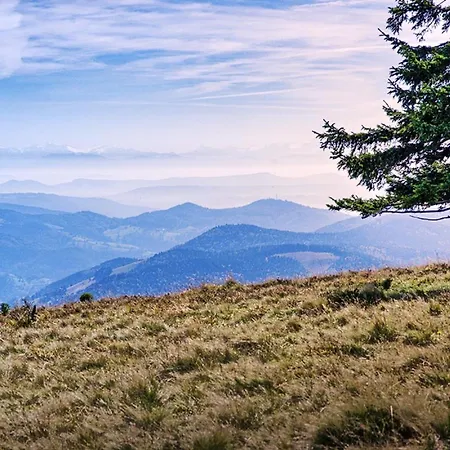 Daire Am Kurpark Bad Krozingen